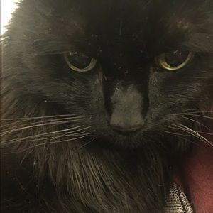 Meet your Posher, Sky